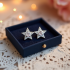Delicate Drop Earrings with Star Pendant