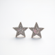 Delicate Drop Earrings with Star Pendant